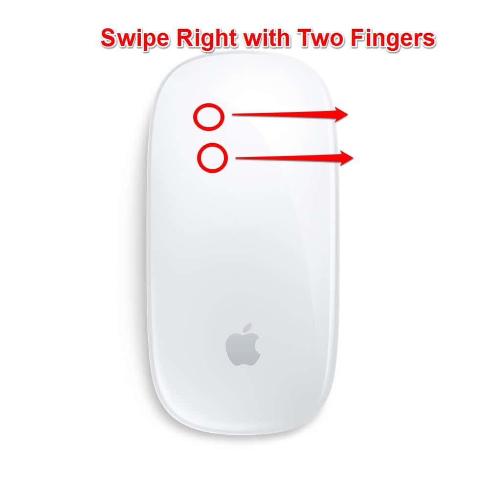 Apple Magic Mouse  Frequently Asked Questions (FAQs) – AM Tradez