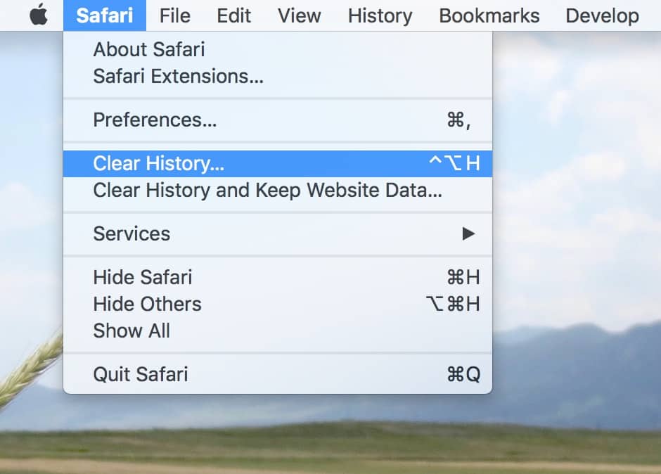clear history safari browser