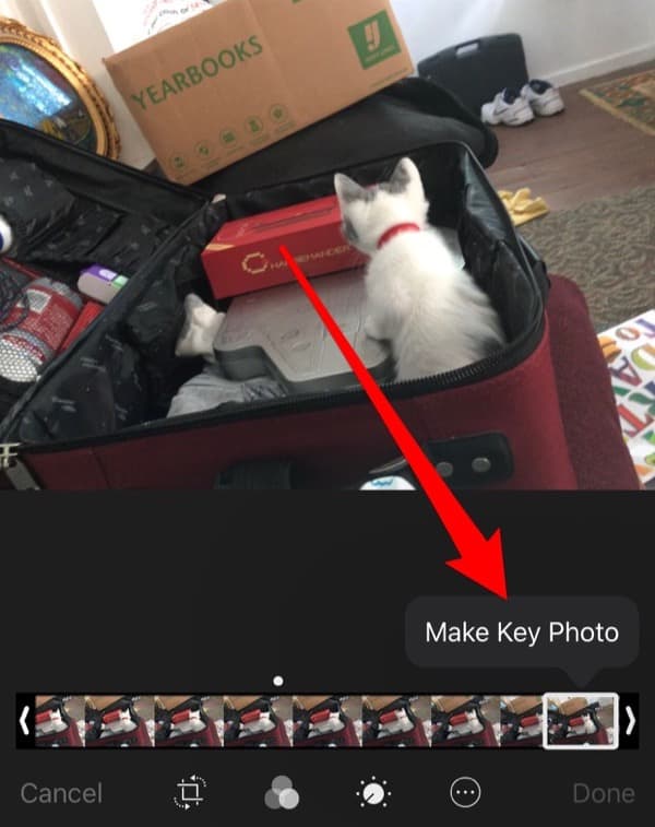  is the ability to change the key frames in Live Photos iOS: Changing Key Frames in Live Photos