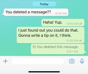 How To Delete A WhatsApp Message- The Mac Observer