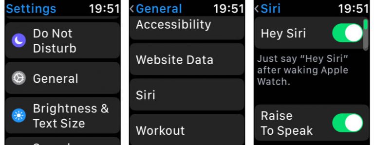 watchOS 5: How to Enable Raise to Speak for Siri on Apple Watch - The