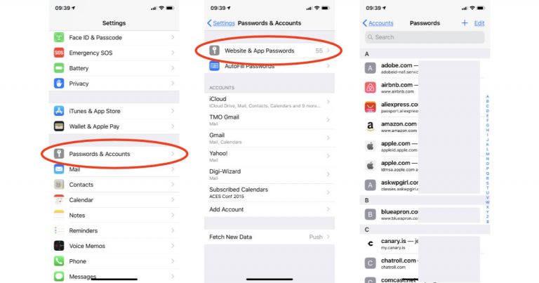 how-to-see-and-manage-keychain-passwords-on-your-iphone-or-ipad-the