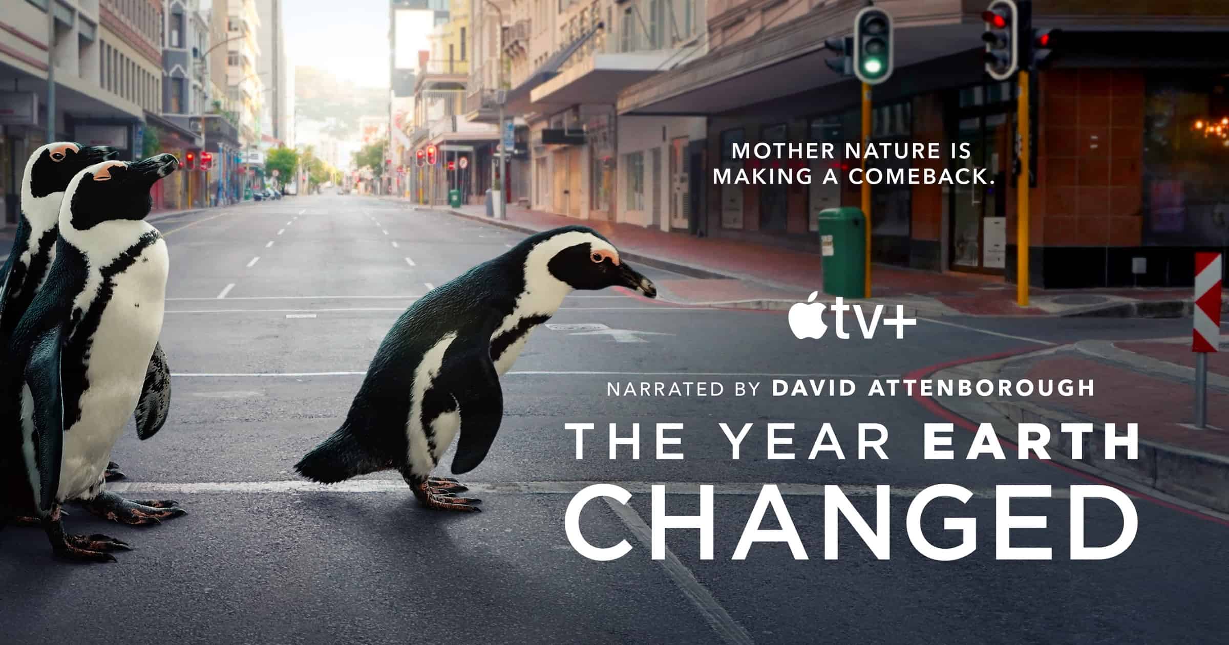 David Attenborough Wildlife Documentary Coming to Apple TV+
