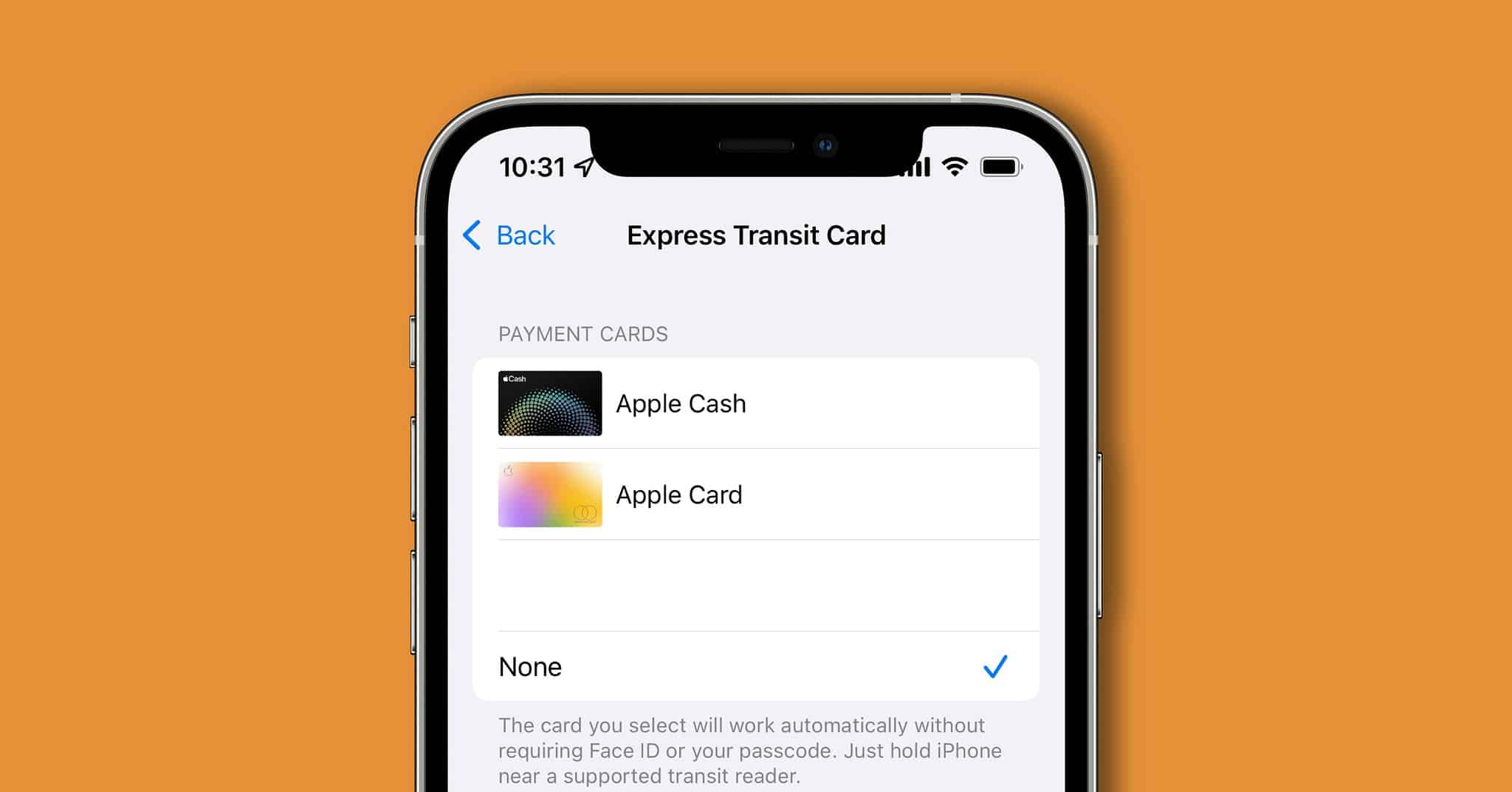 Researchers Hack Apple Pay to Steal Money With Visa - The Mac Observer