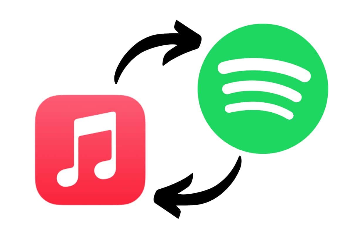 I made a Spotify icon for MacOS Big Sur : r/MacOS