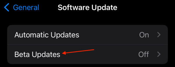 How To Uninstall IOS Or IPadOS Beta Software | Full Guide- The Mac Observer