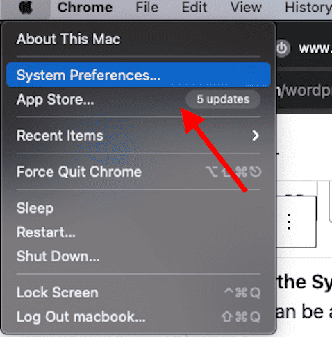 Open System Preferences