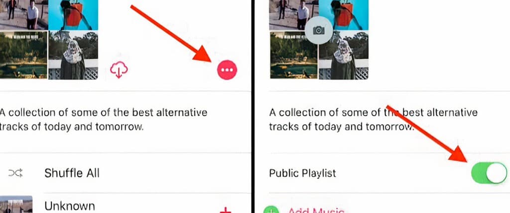 Toggle switch to Make playlist public
