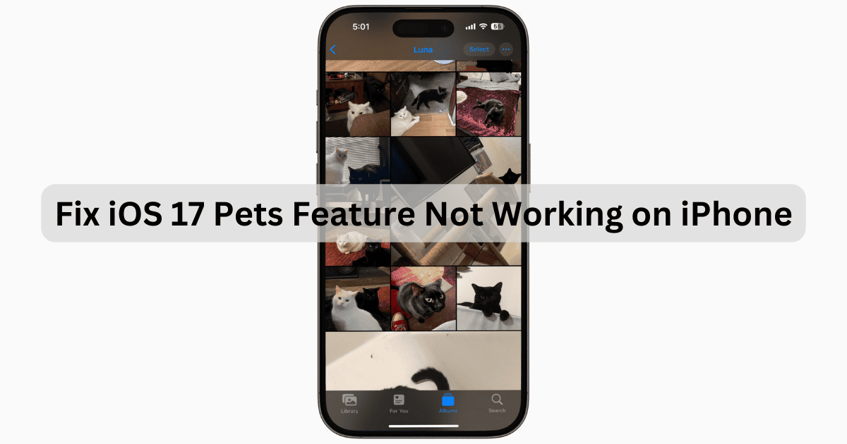 iOS Pets Feature Not Working November 2023 Featured