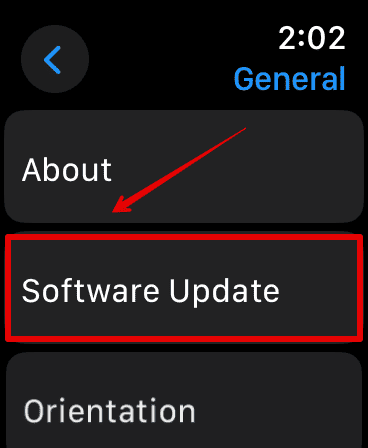 Tap on Software Update
