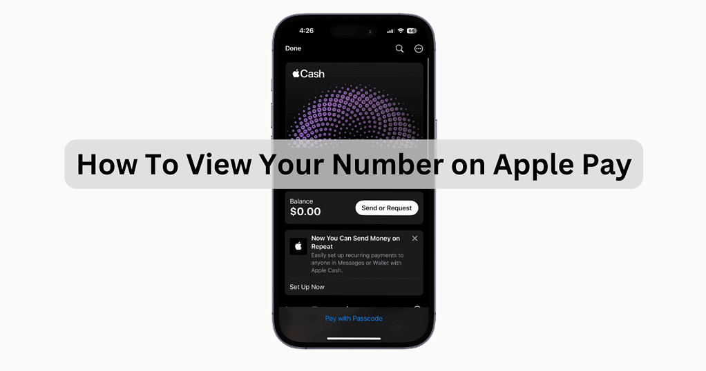 how-to-view-your-card-number-on-apple-pay-a-step-by-step-guide