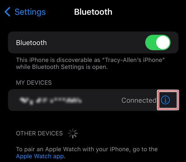 iPhone bluetooth information