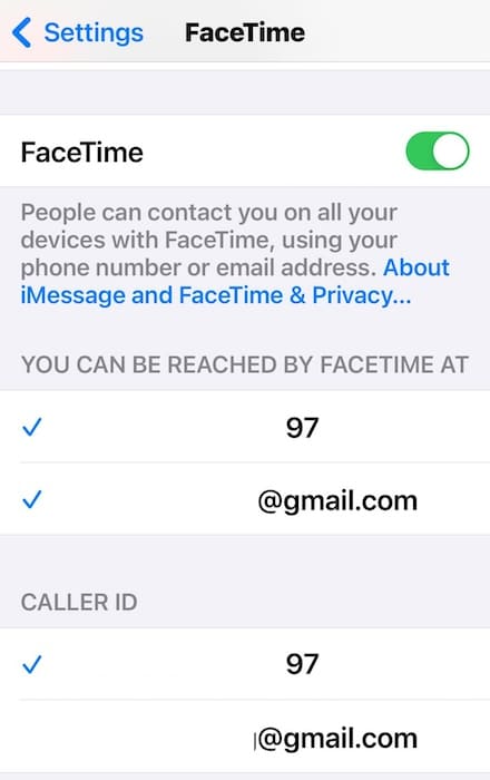 Configuring the Contact Details on iOS FaceTime