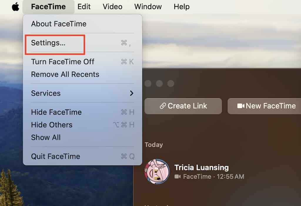 FaceTime Settings Apple Menu on Mac