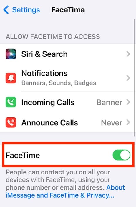 The Toggle Button for iOS FaceTime Settings
