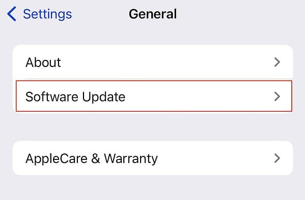 Choose the Software Update tab in your iPhone Settings