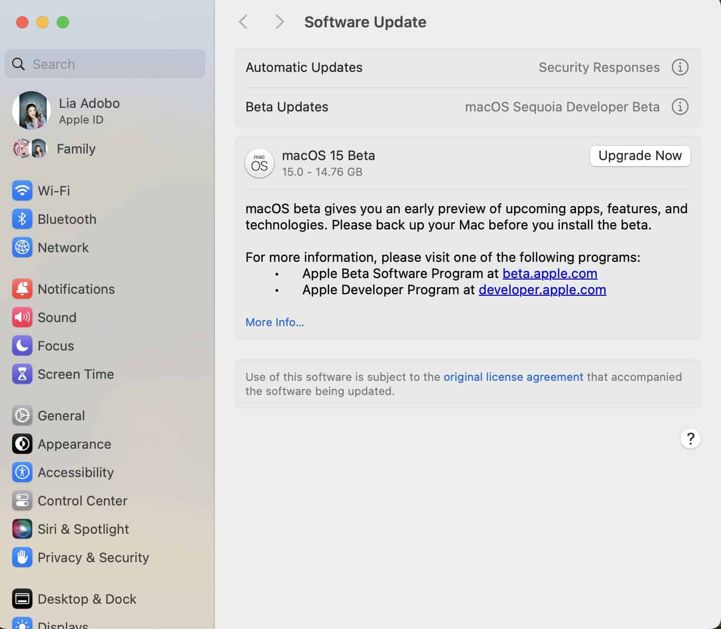 macOS-15-Beta-Update-Option