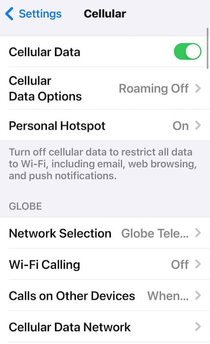iPhone 15 Pro Max Wi-Fi and Cellular Data Not Working Cellular Data