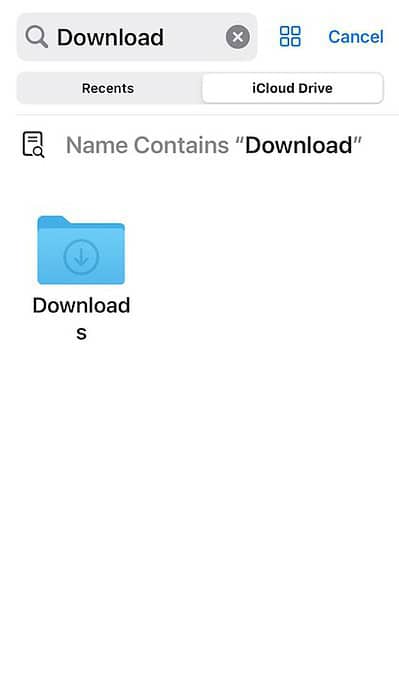 The Downloads Folder on iCloud