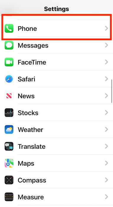 The Phone iOS Settings