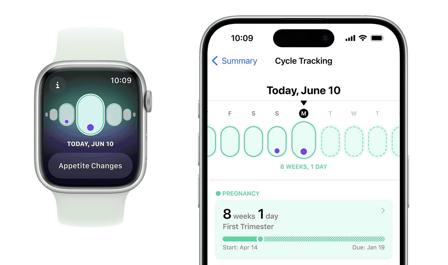 Cycle Tracking in watchOS 11