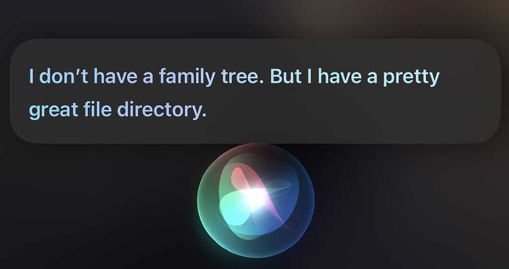 Asking Siri if she has a family