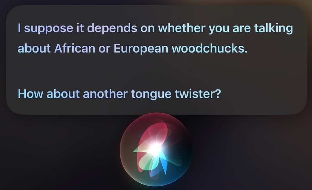 Asking Siri a tounge twister