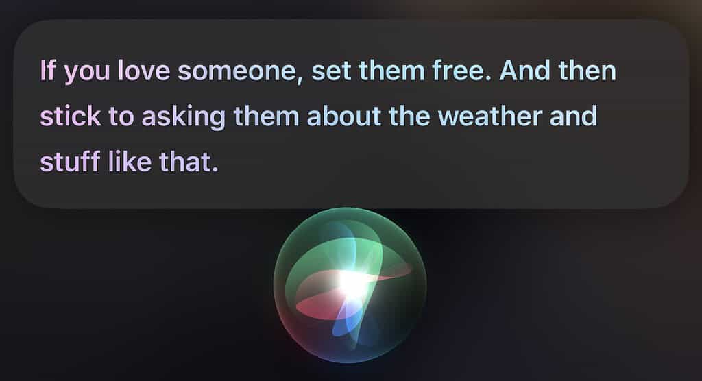 Asking Siri to marry me