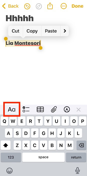 Clicking the Text Formatting Icon in Notes