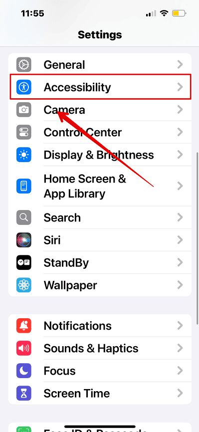 Open Accessibility on iOS 18