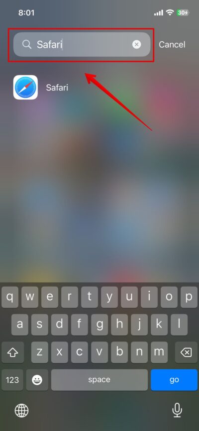 Type Safari in Search Bar
