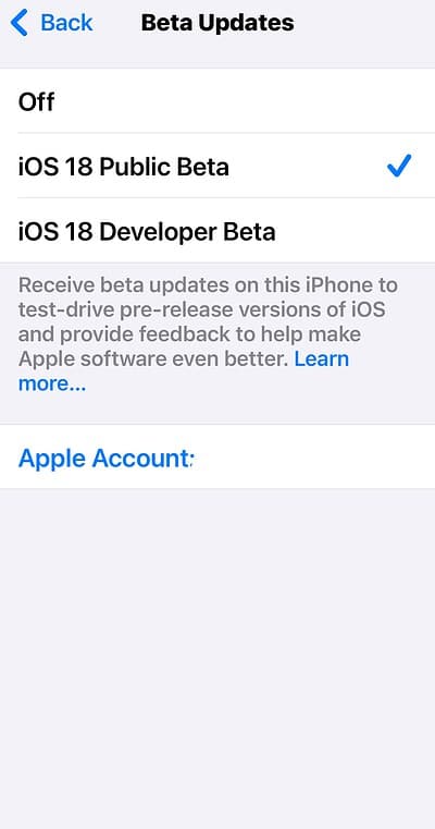 iOS 18 Dev and Public Beta Updates