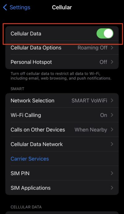 iPhone screenshot - how to toggle Cellular Data on