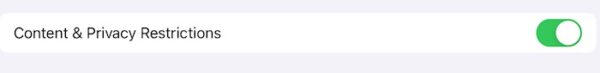 Toggle Content and Privacy Restrictions on iPad