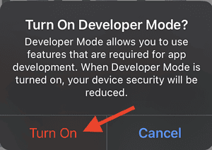 how to activate developer mode on iphone