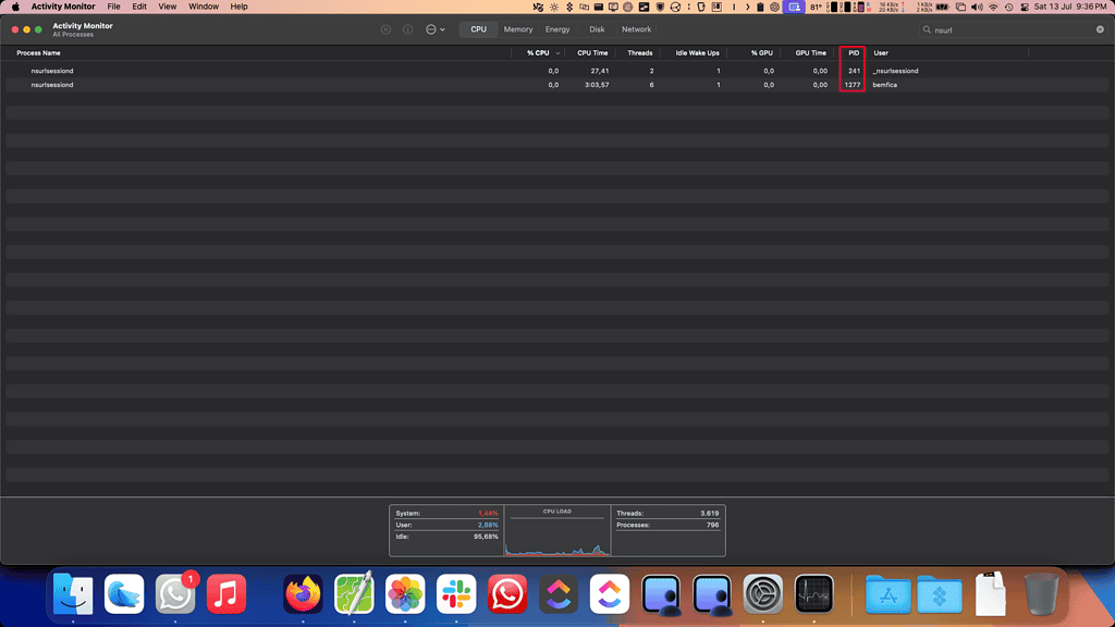 macOS Activity Monitor app showing the nsurlsessiond process PIDs