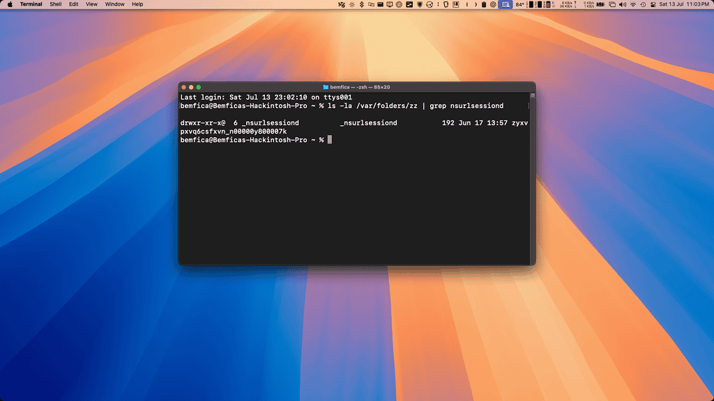 macOS Terminal app showing a command to find the nsurlsessiond folder