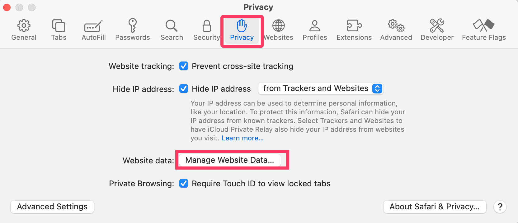 manage website data in privacy tab safari