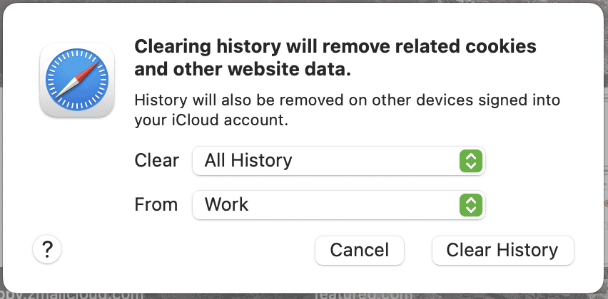 Safari Clear History
