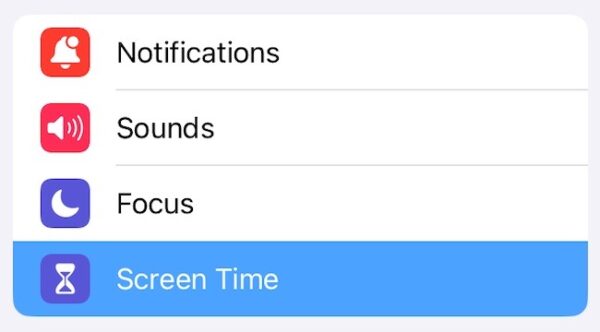 The Screen Time tab on your iPad settings