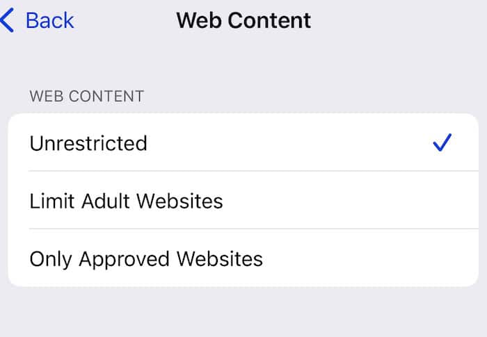 Web Content Restrictions iOS Screen Time