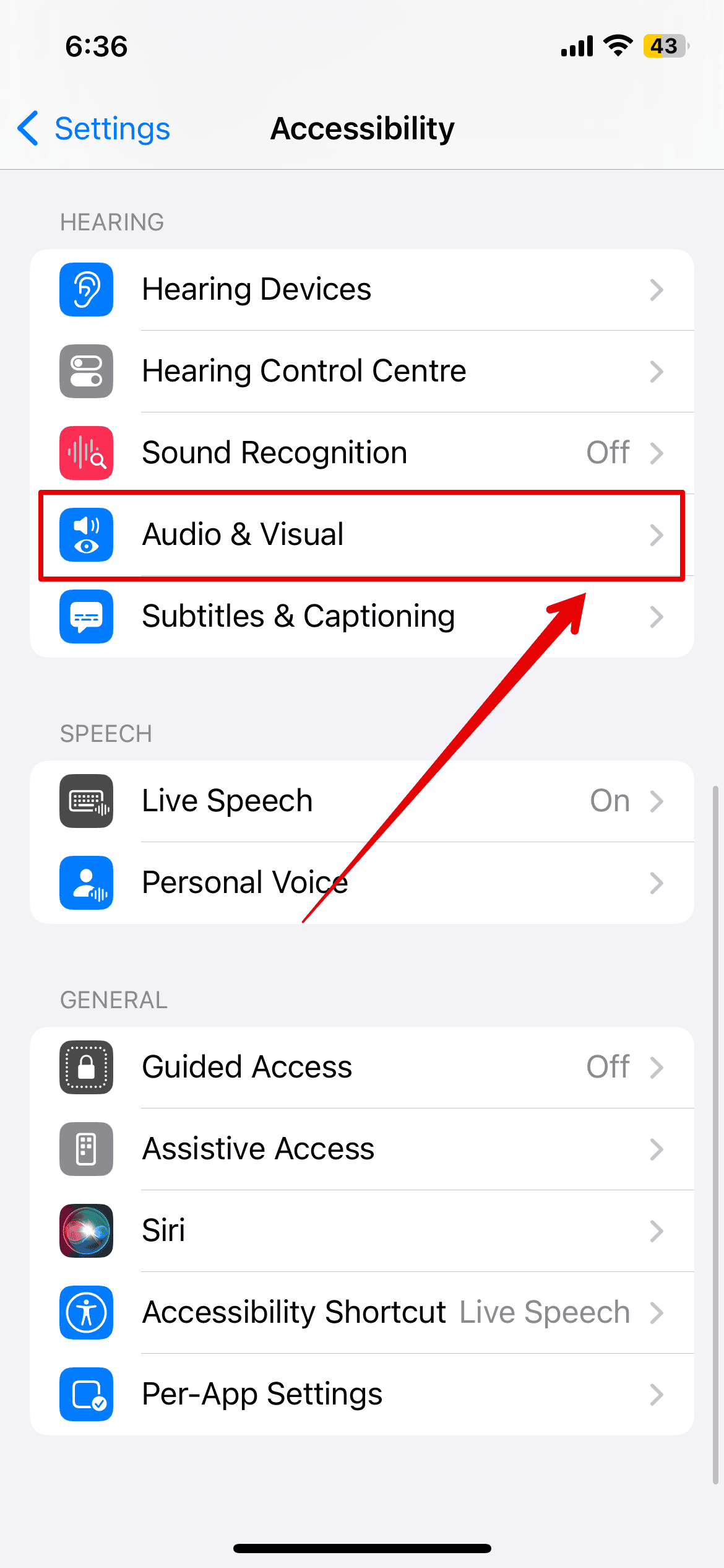 iPhone Microphone not working