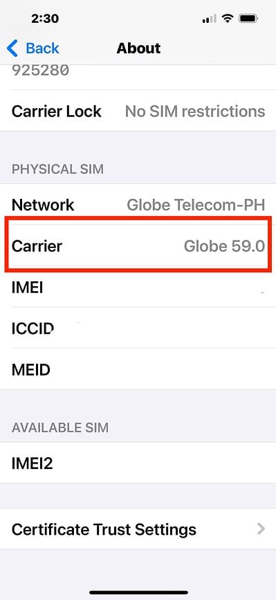 Carrier Settings on Globe