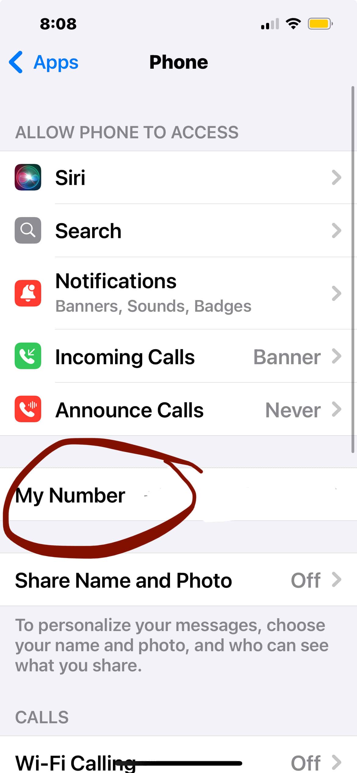 Phone Settings in Settings App