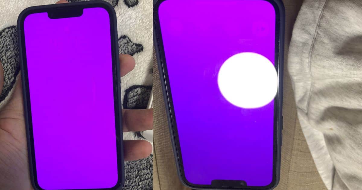 Purple Screen of Death iPhone Side by Side