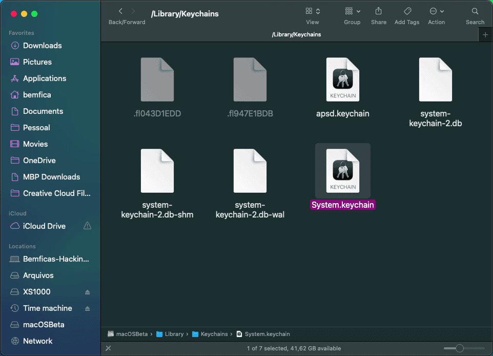 macOS Finder showing the system Keychain folder