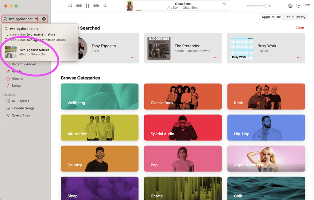 Apple Music Something Went Wrong Error Message Search Preview Workaround