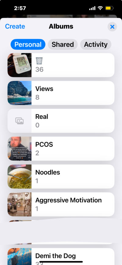 Different Albums in iOS 18 Photos