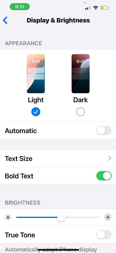 Display-and-Brightness-iOS-Settings