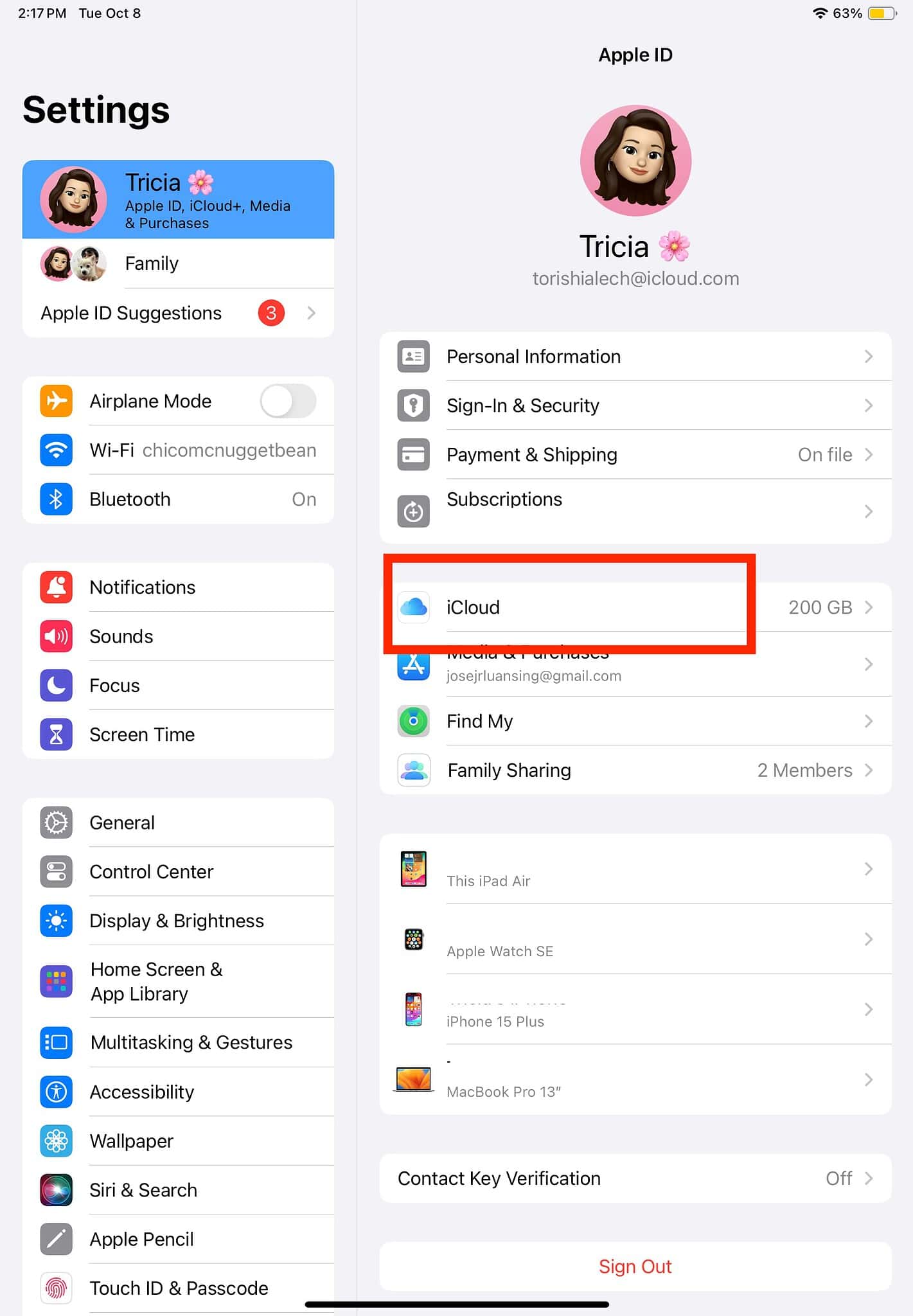 how to view my files on ipad